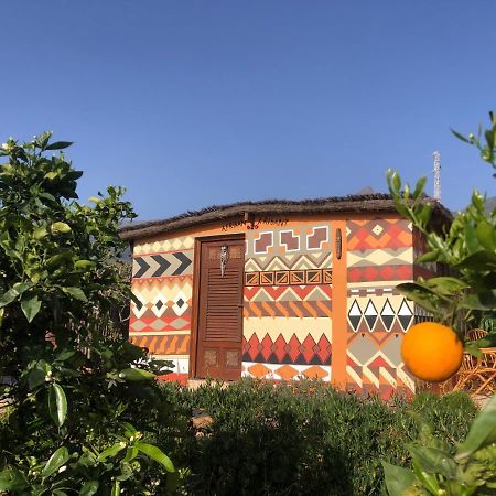 Afrikan Krisant Tenerife, Casa Rural Ecologica Arafo Εξωτερικό φωτογραφία
