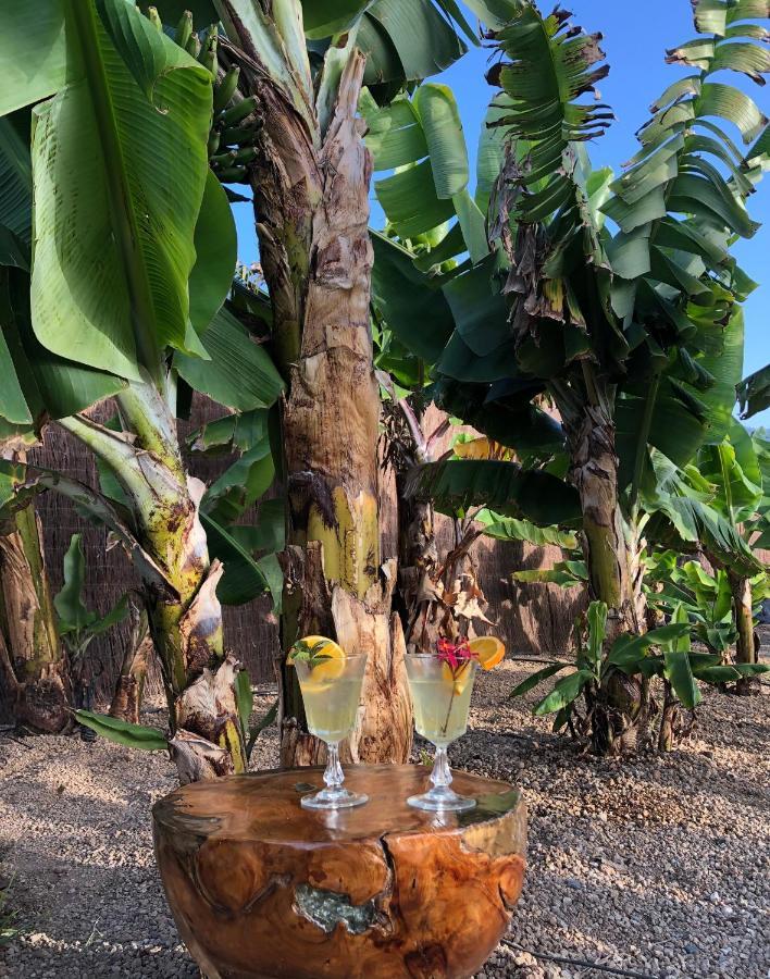 Afrikan Krisant Tenerife, Casa Rural Ecologica Arafo Εξωτερικό φωτογραφία