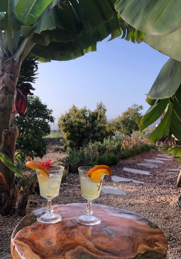 Afrikan Krisant Tenerife, Casa Rural Ecologica Arafo Εξωτερικό φωτογραφία
