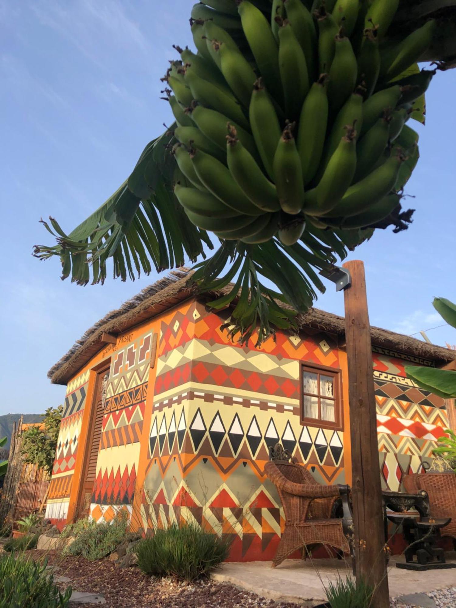 Afrikan Krisant Tenerife, Casa Rural Ecologica Arafo Εξωτερικό φωτογραφία
