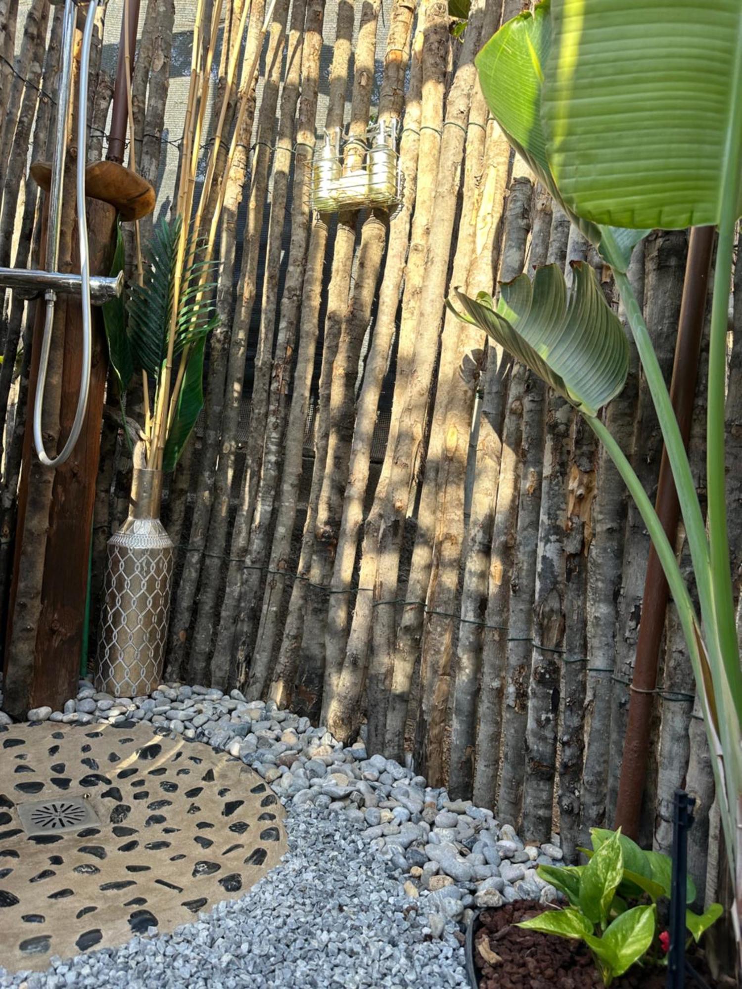 Afrikan Krisant Tenerife, Casa Rural Ecologica Arafo Εξωτερικό φωτογραφία