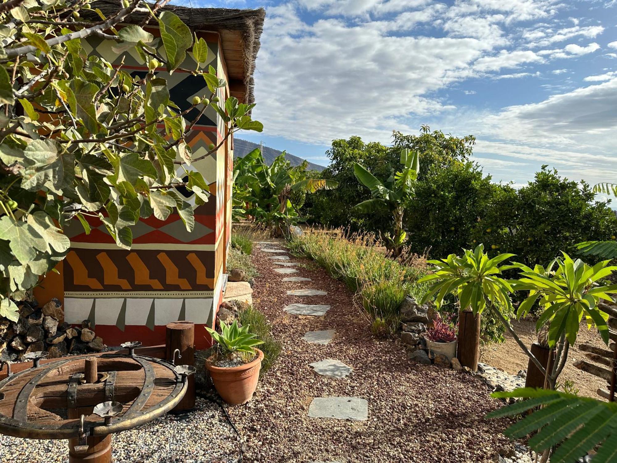 Afrikan Krisant Tenerife, Casa Rural Ecologica Arafo Εξωτερικό φωτογραφία
